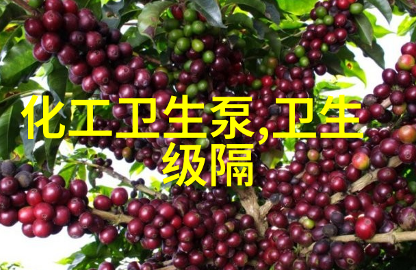 意大利高低压系列Osip ZVM90水泵 污水泵